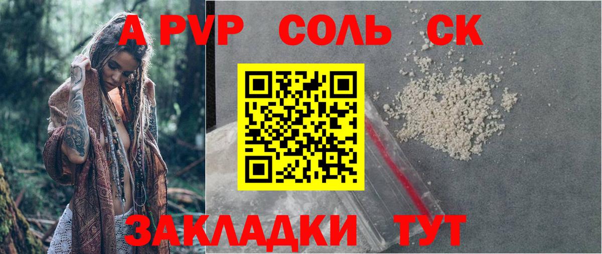 A PVP СК Калининград