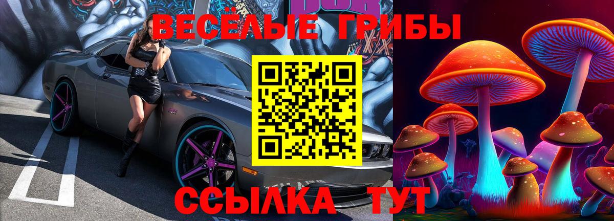 Псилоцибиновые грибы Magic Shrooms  Вход с VPN  Калининград  Галлюциногенные грибы MAGIC MUSHROOMS 