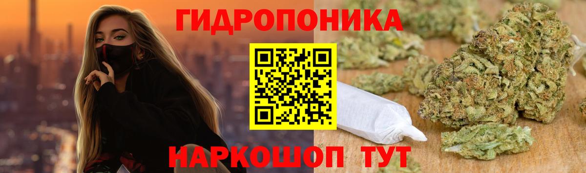 Каннабис White Widow Калининград